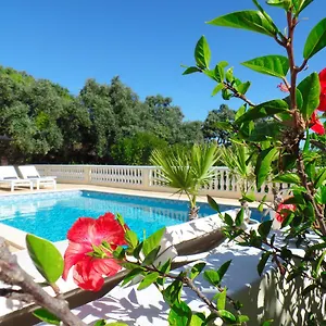 Panoramic Paradise , São Brás de Alportel Portugal